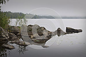 Finland: Foggy morning by a lake