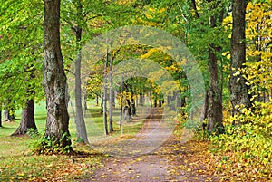 Finland, Hameenlinna. Park Aulanko in autumn photo