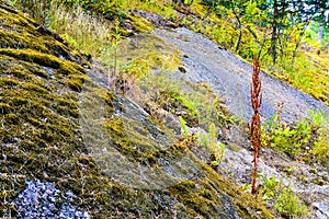 Finland, Kotka: Large granite rock covered with old green moss are an inherent part of the harsh northern nature of Scandinavia photo