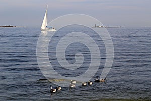 Finland: Sailing in Baltic Sea