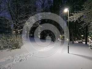 Finland snow night photo