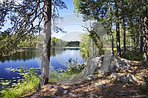 Finland: Summer day by a lake