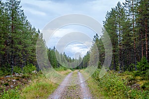 Finland. View of a scenic road passing through a forest. Beautiful Scandinavian landscape