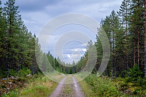 Finland. View of a scenic road passing through a forest. Beautiful Scandinavian landscape