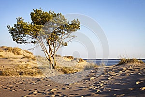 Finland: Yyteri beach