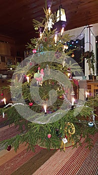 Finnish christmas tree