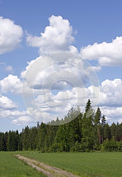 Finnish countryside