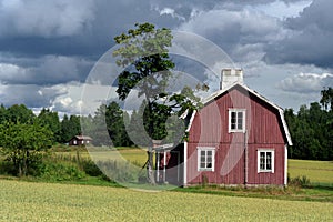Finnish farm