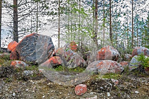 Finnish forest. A pile of red stones. This color of stones due to iron oxide on them