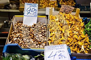 Finnish grown shiitake and chanterelles