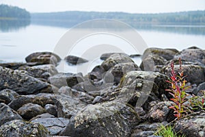 Finnish lake