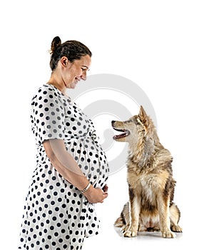 Finnish Lapphund and owner