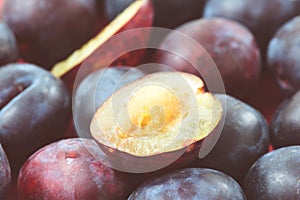 Finnish plum variety called Sinikka