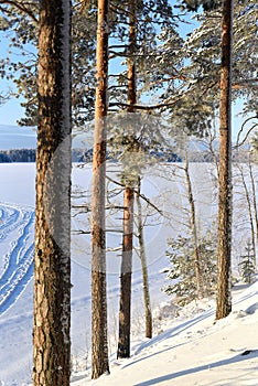 A Finnish Winter Lake Landscape in Shades of Snow