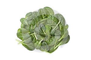 Fino Fresco Italian lettuce photo