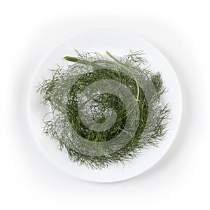 Finocchietto selvatico - Foeniculum vulgare - Fennel, Small Branches on a Glossy White Ceramic Plate photo