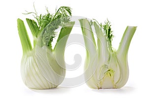 Fennel cut in half