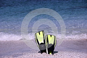 Fins on the the beach photo