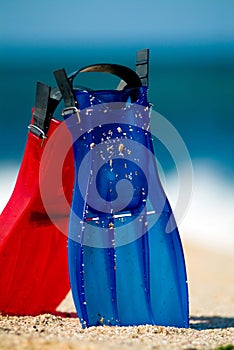 Fins on the beach