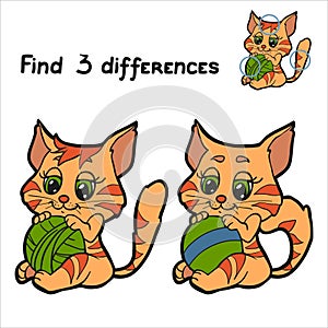 Fins differences (cat)