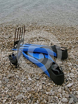 Fins and harpoon on beach photo