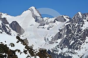 Finsteraarhorn photo