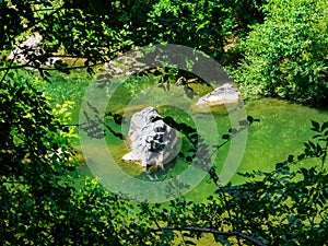 Fiora River, Lazio, Italy