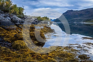 Fiord landscape, Norway