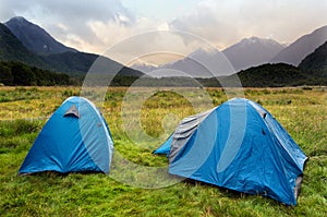 Fiordland - New Zealand