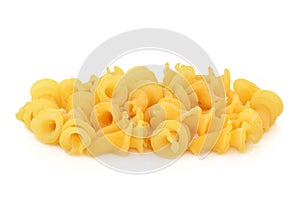 Fiorelli Pasta