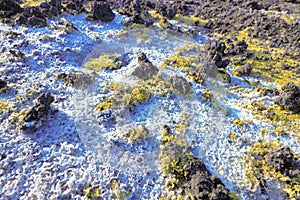 Fiori di Zolfo visto in dettaglio sul cratere del vulcano etna photo