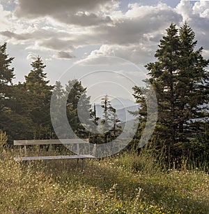 The fir and bench in the mountains region Tzoumerka, Greece, mountains Pindos