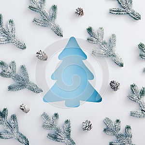 Fir blue tree shape with snowy tree branch and pine cone pattern. Square composition, flat lay, view from above. Winter forest