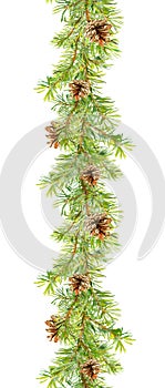 Fir border - pine tree branches with cones. Watercolor frame