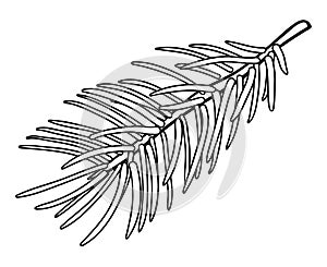 Fir branch - design element in pencil drawing style