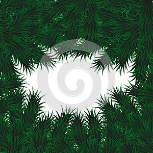 Fir branch, green spruce on a white background. Realistic Christmas tree. Vector illustration for New Year`s posters, Christmas