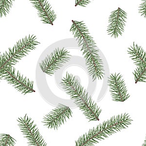 Fir branch seamless pattern. Winter holiday decor element. Vectro illustration