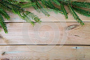 Fir branch on wooden background