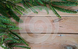 Fir branch on wooden background