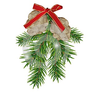 Fir branches and pine cones with red ribbon isolated on white background. Christmas and New year decoration. Vector