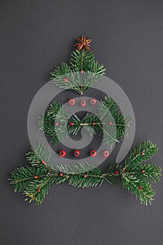 Fir branches, red berries and anise star in christmas tree shape on black background, creative idea. Winter holidays, seasons