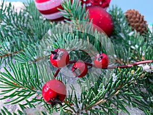 Fir branches with red berries, cones on a blurred snowy background with christmas baubles.
