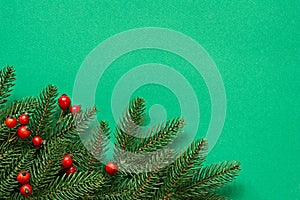 Fir branches with rose hips on a textured green background. Christmas and New Year, Winter holidays concept.