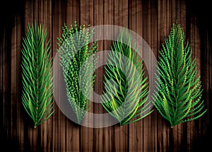 Fir Branches Set. Christmas Tree. Pine Sprigs on Wooden Background