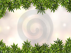 Fir christmas background.