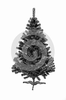 Fir Christmas tree on white background
