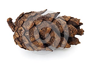 Fir cone