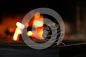 Fir cone near the fire place