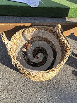 Fir cones in a wicker basket