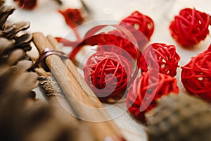 Fir cones, wooden sticks, tangles of plastic cords